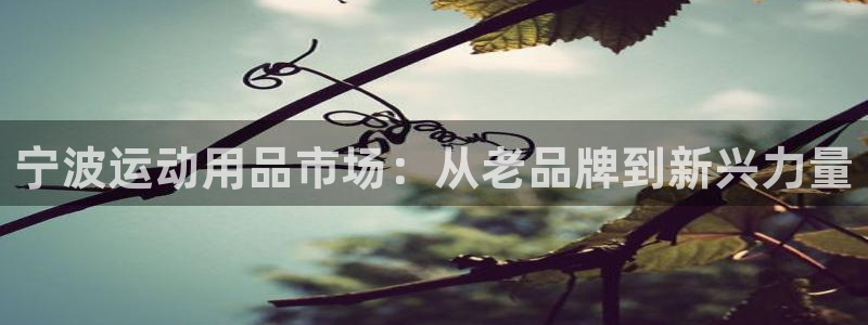 意昂体育4招商电话号码查询是多少：宁波运动用品市场：
