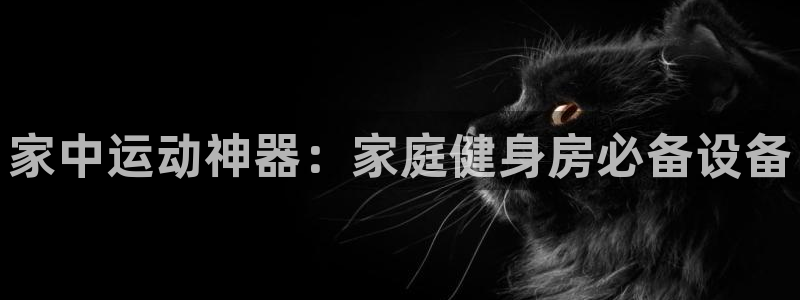 意昂体育4：家中运动神器：家庭健身房必备设备