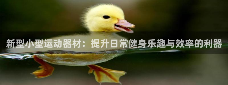 意昂体育4招商电话地址是多少：新型小型运动器材：提升