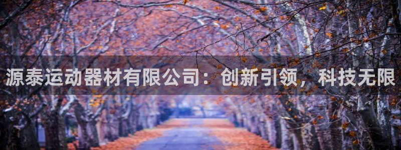 意昂4集团E.ON：源泰运动器材有限公司：创新引领，