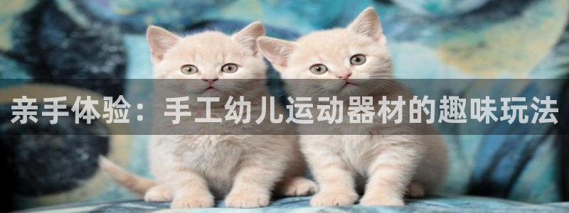 意昂集团官网：亲手体验：手工幼儿运动器材的趣味玩法