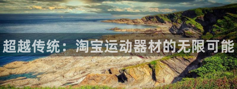 意昂体育4平台注册要钱吗：超越传统：淘宝运动器材的无