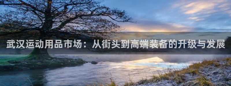 意昂4集团简介：武汉运动用品市场：从街头到高端装备的升级与发
