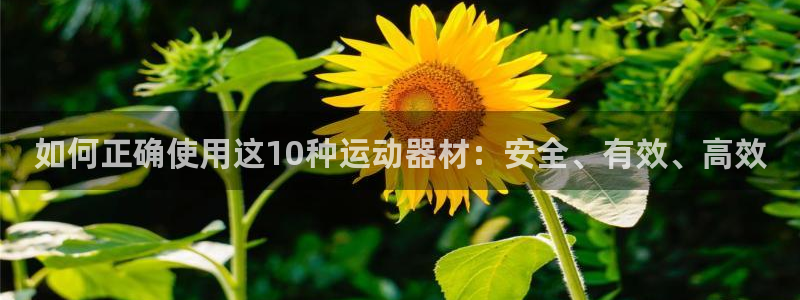 意昂4神州：如何正确使用这10种运动器材：安全、有效、高效
