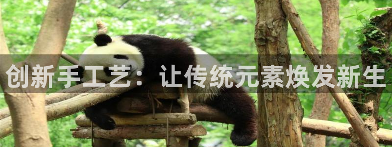 海南意昂体育4发展怎么样：创新手工艺：让传统元素焕发