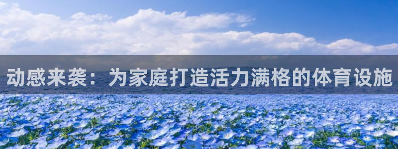意昂体育4招商电话：动感来袭：为家庭打造活力满格的体