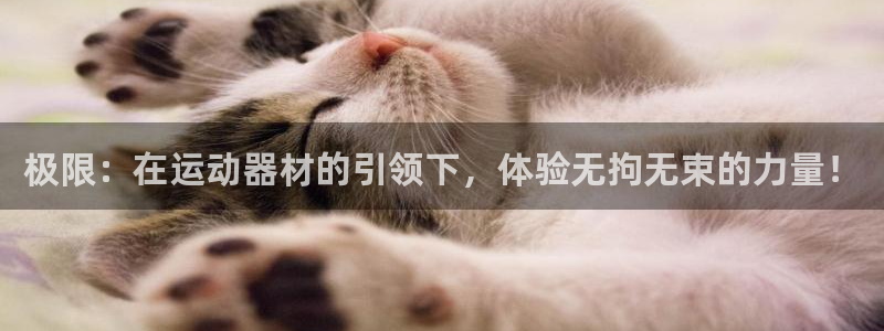 意昂4官方：极限：在运动器材的引领下，体验无拘无束的