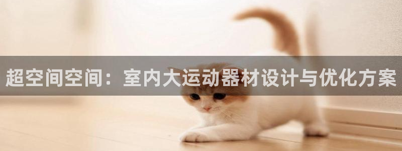 意昂体育4招商电话地址：超空间空间：室内大运动器材设