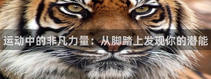 意昂体育4平台是正规平台吗安全吗：运动中的非凡力量：