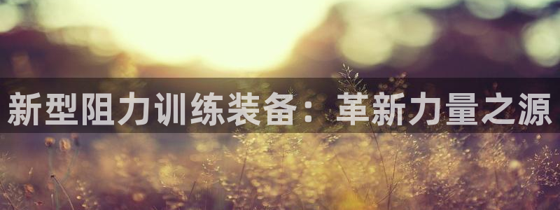 意昂4娱乐平台：新型阻力训练装备：革新力量之源