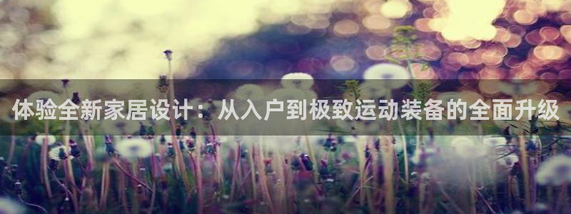 意昂体育4招商：体验全新家居设计：从入户到极致运动装