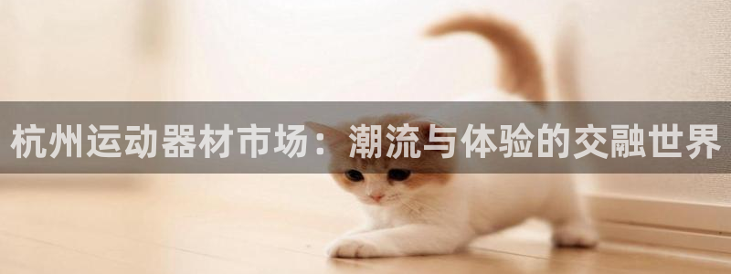 意昂4神州：杭州运动器材市场：潮流与体验的交融世界