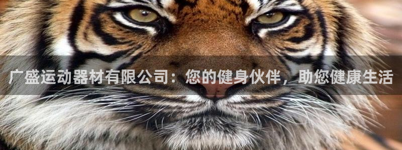 意昂体育4招商：广盛运动器材有限公司：您的健身伙伴，