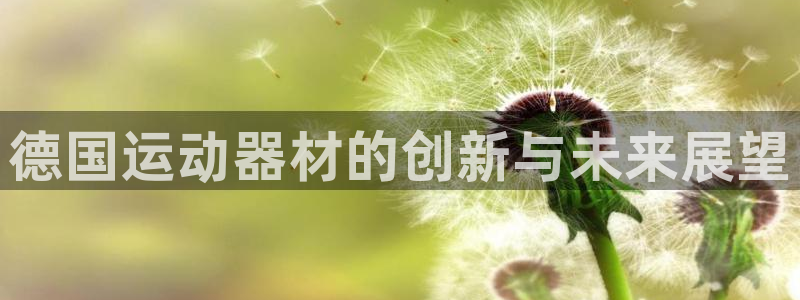 意昂4娱乐是那个系列的台子：德国运动器材的创新与未来