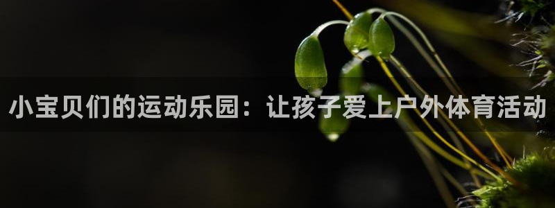意昂体育4是干嘛的公司