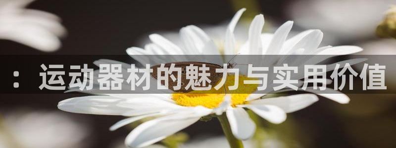 意昂体育4招商电话号码查询：：运动器材的魅力与实用价