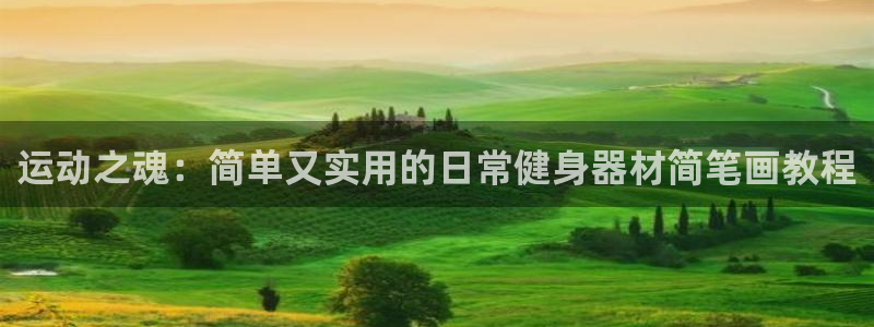意昂4娱乐首页官网下载：运动之魂：简单又实用的日常健
