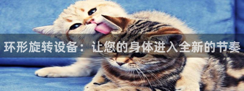 意昂体育4平台假的吗是真的吗吗：环形旋转设备：让您的