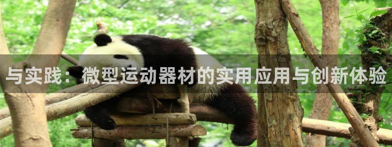 意昂体育4开户：与实践：微型运动器材的实用应用与创新