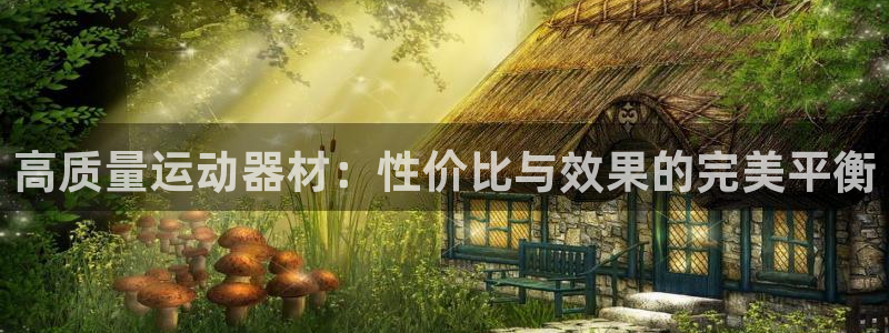 意昂4娱乐下载：高质量运动器材：性价比与效果的完美平