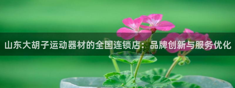 海南意昂体育4发展怎么样