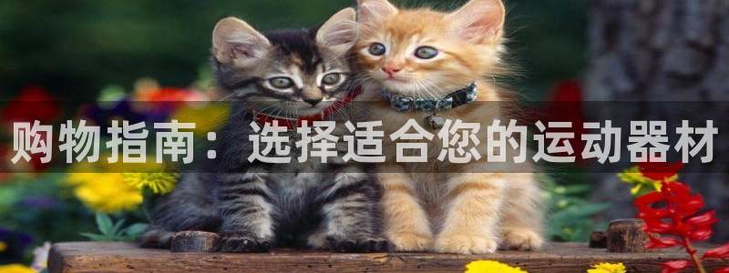 意昂4娱乐40996：购物指南：选择适合您的运动器材