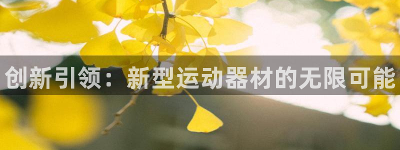 意昂4集团简介：创新引领：新型运动器材的无限可能