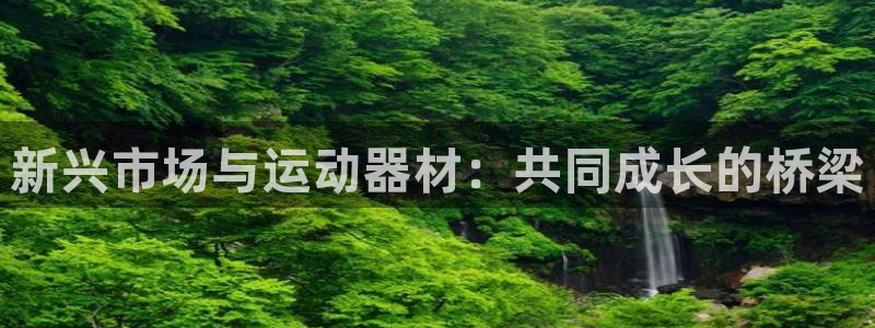意昂4娱乐首页官网下载：新兴市场与运动器材：共同成长