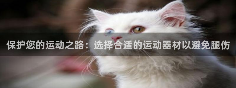 意昂体育4平台注册流程图：保护您的运动之路：选择合适