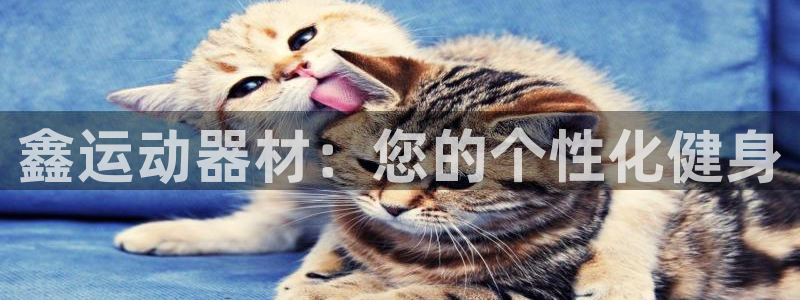 意昂4开户：鑫运动器材：您的个性化健身