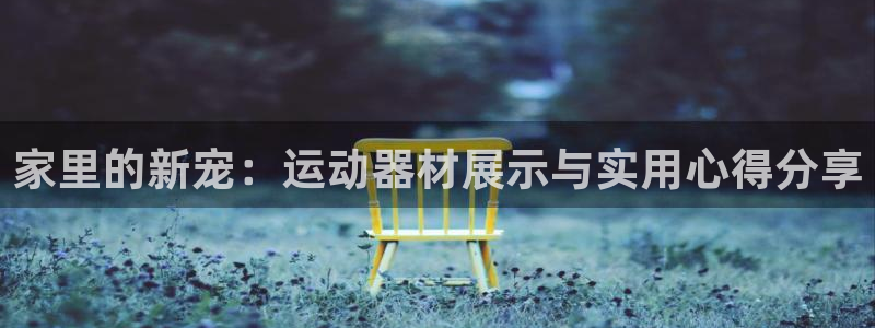 意昂体育4是干嘛的公司：家里的新宠：运动器材展示与实