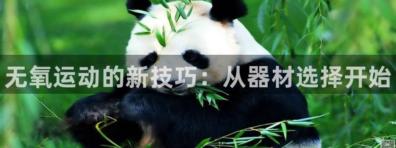 意昂4官网：无氧运动的新技巧：从器材选择开始