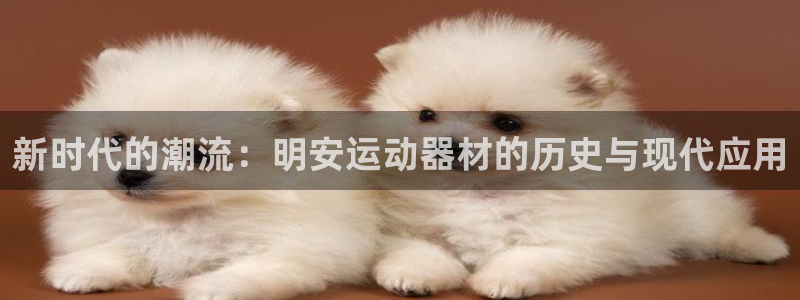 意昂体育4联系电话：新时代的潮流：明安运动器材的历史