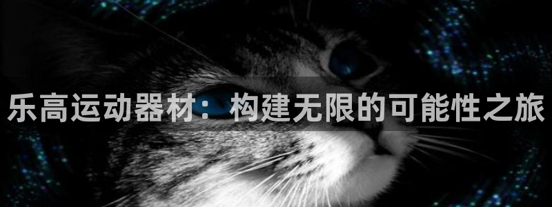 意昂体育4娱乐：乐高运动器材：构建无限的可能性之旅