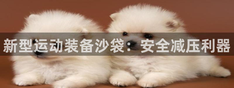 意昂体育4招商电话号码是多少啊：新型运动装备沙袋：安