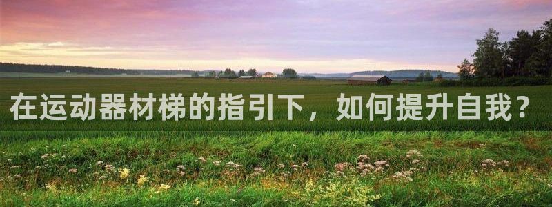意昂4科技：在运动器材梯的指引下，如何提升自我？