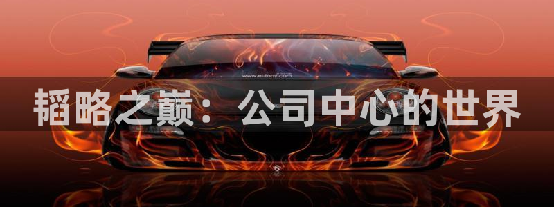 意昂4官方：韬略之巅：公司中心的世界