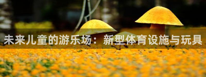 意昂4集团简介：未来儿童的游乐场：新型体育设施与玩具