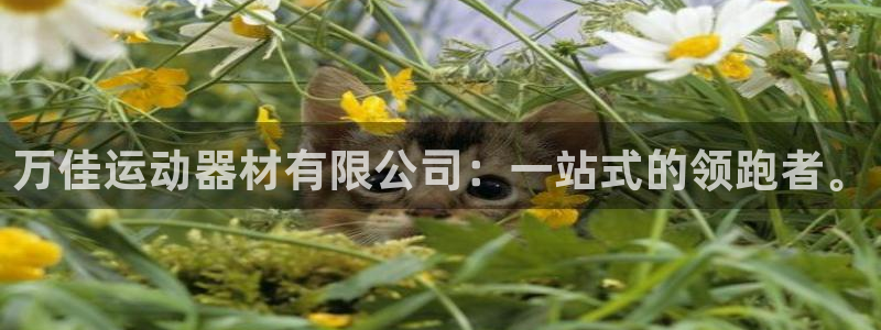 海南意昂体育4：万佳运动器材有限公司：一站式的领跑者