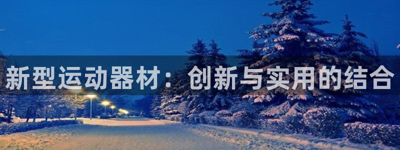 意昂4神州：新型运动器材：创新与实用的结合