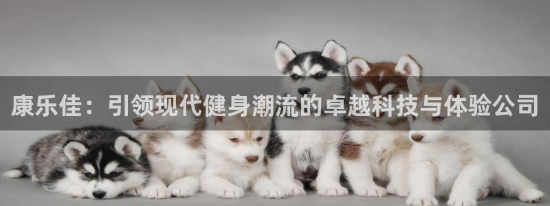 意昂4娱乐网站：康乐佳：引领现代健身潮流的卓越科技与体验公司
