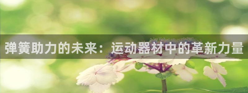 意昂体育4开户：弹簧助力的未来：运动器材中的革新力量