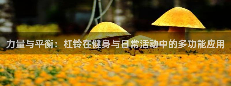 意昂4娱乐网站