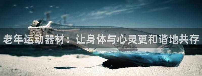 意昂体育4开户：老年运动器材：让身体与心灵更和谐地共