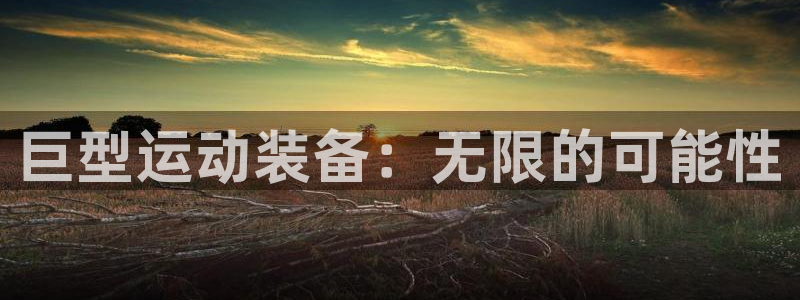 意昂体育4是干嘛的公司：巨型运动装备：无限的可能性