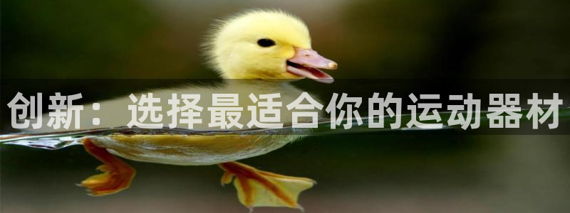 意昂体育4是干嘛的公司：创新：选择最适合你的运动器材
