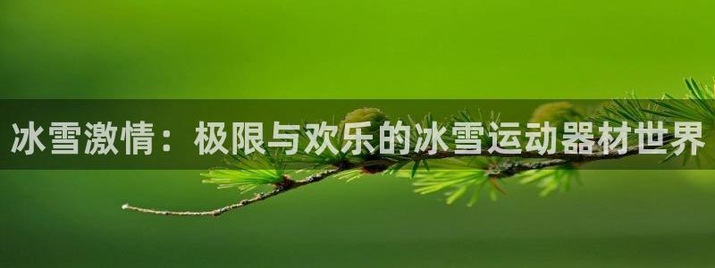 意昂4娱乐是那个系列的台子：冰雪激情：极限与欢乐的冰