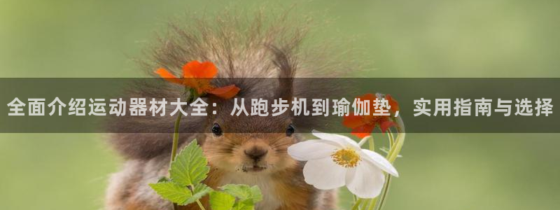 意昂体育4官方客服电话：全面介绍运动器材大全：从跑步