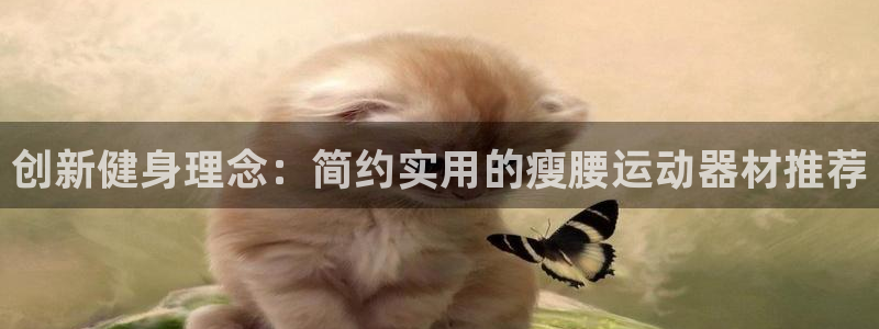 意昂4五金厂：创新健身理念：简约实用的瘦腰运动器材推