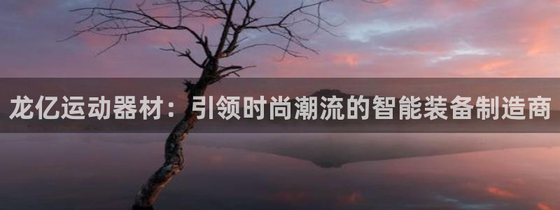 意昂4集团E.ON：龙亿运动器材：引领时尚潮流的智能